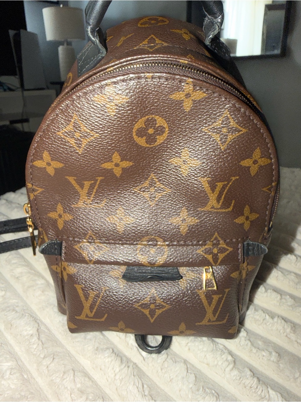 Louis Vuitton Palm Springs Mini